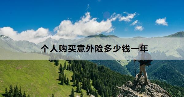 個人購買意外險(xiǎn)多少錢一年？怎么買？