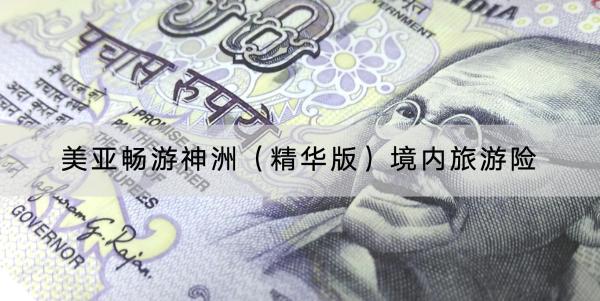 美亞暢游神洲（精華版）境內(nèi)旅游險可以保障什么？在哪里購買？