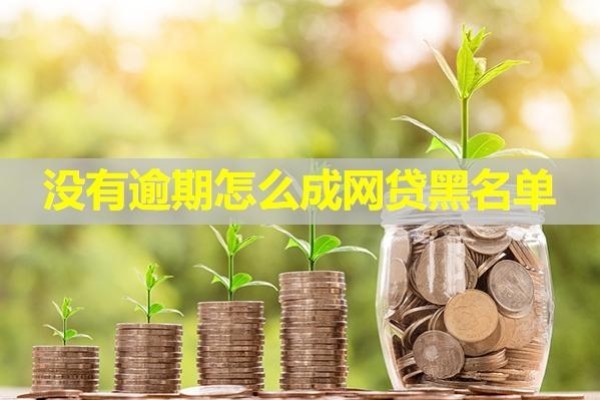 沒(méi)有逾期怎么成網(wǎng)貸黑名單？可能是這些原因?qū)е?/>
                                            </div>
                                        </a>
                                        <div   id=