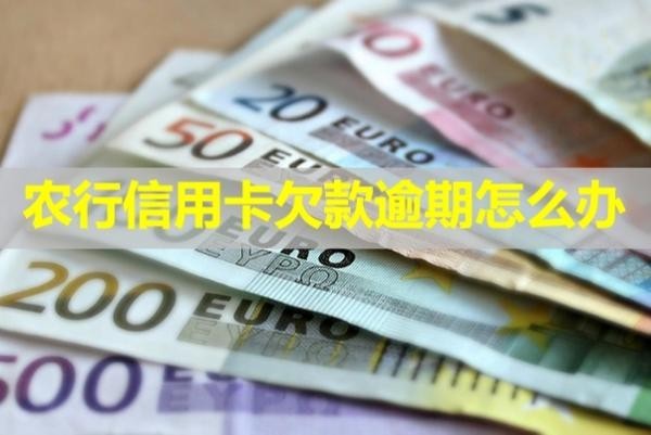 農(nóng)行信用卡欠款逾期怎么辦？教你解決問題