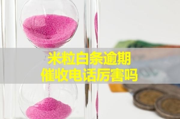 米粒白條逾期催收電話厲害嗎？詳細(xì)內(nèi)容