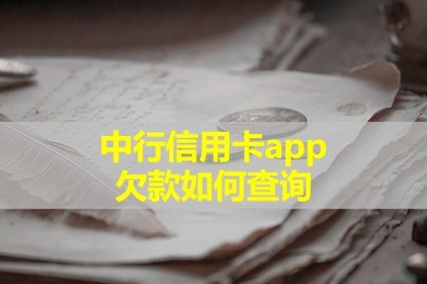中行信用卡app欠款如何查詢？詳細(xì)內(nèi)容