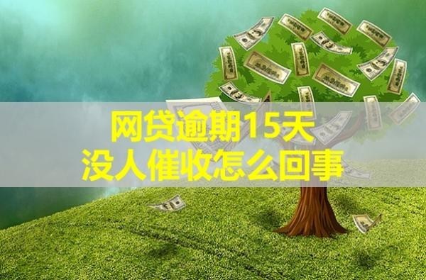 網(wǎng)貸逾期15天沒人催收怎么回事？有這些因素