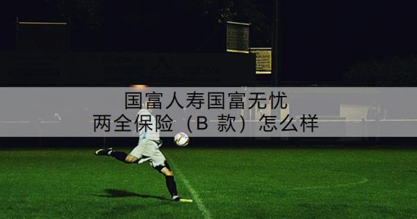 國富人壽國富無憂兩全保險（B 款）怎么樣？值不值得買呢？