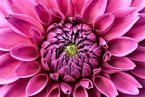 工齡39年跟40年的區(qū)別是什么?。扛綆в?jì)算公式！