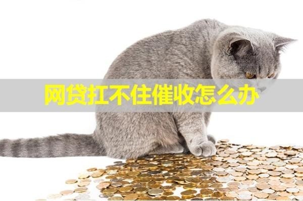 網貸扛不住催收