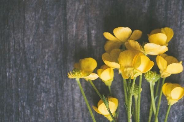 平安一生保退保能退錢(qián)嗎？如何辦理平安一生保退保??？