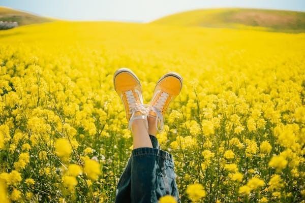 泰康歲月有約養(yǎng)老年金保險(xiǎn)怎么樣？適合誰(shuí)買(mǎi)??？