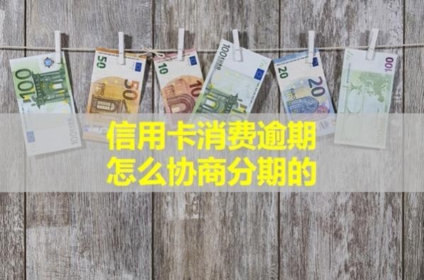 信用卡消費逾期怎么協(xié)商分期的？詳細步驟
