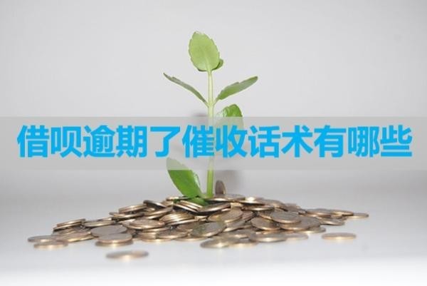 借唄逾期了催收話術有哪些？不看后悔