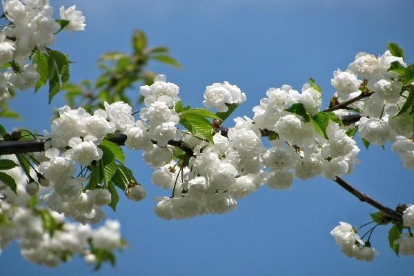 友邦保險哪些最值得買？友邦保險要如何投保?。?>
                                            </div>
                                        </a>
                                        <h2 class=