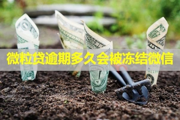 微粒貸逾期多久會(huì)被凍結(jié)微信？這個(gè)時(shí)間要注意