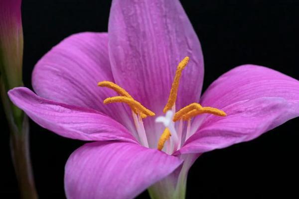 開(kāi)門(mén)紅退保很多為什么