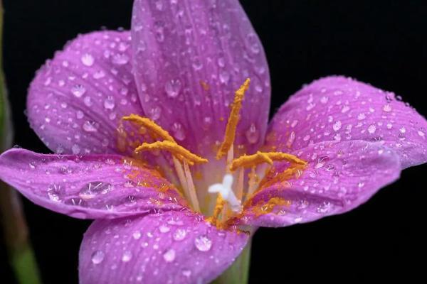 農(nóng)銀人壽保險(xiǎn)猶豫期退保到賬時(shí)間要多久？退保怎么能減少損失？