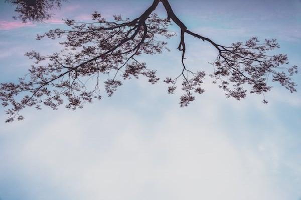 中國(guó)人壽能退保嗎現(xiàn)在？如何實(shí)現(xiàn)中國(guó)人壽保險(xiǎn)全額退保?。?/>
                                            </div>
                                        </a>
                                        <div   id=