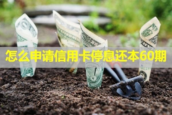 怎么申請信用卡停息還本60期？詳細(xì)分析