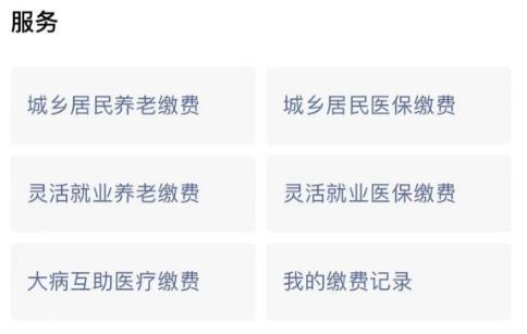 養(yǎng)老保險網(wǎng)上繳費(fèi)
