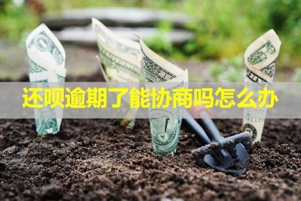 還唄逾期了能協(xié)商嗎怎么辦？詳細(xì)流程