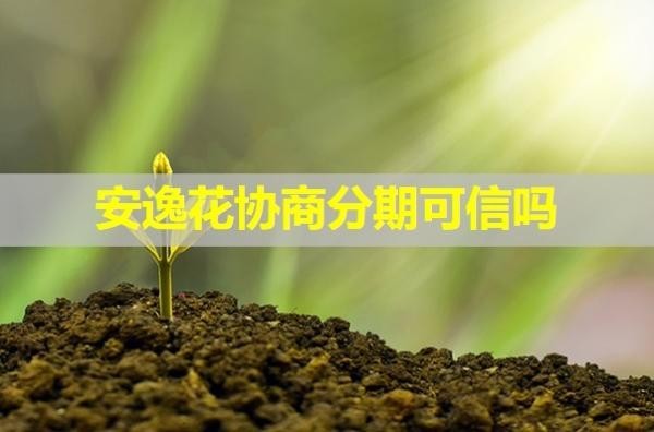 安逸花協(xié)商分期可信嗎？必看此篇