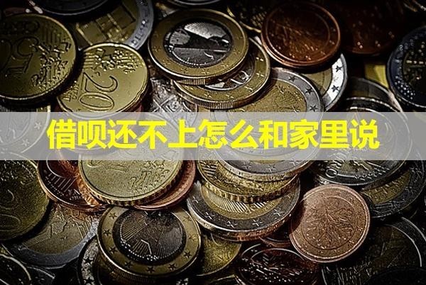 借唄還不上怎么和家里說