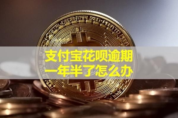 支付寶花唄逾期一年半了怎么辦？試試這樣處理