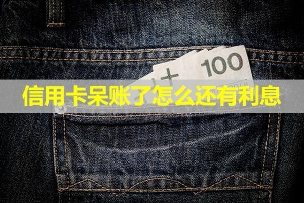信用卡呆賬了怎么還有利息？看完就懂啦！
