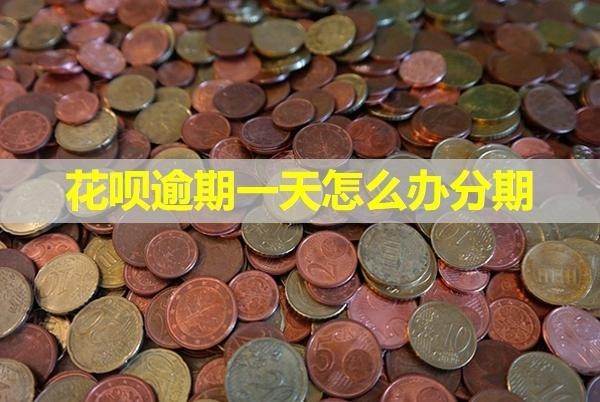 花唄逾期一天怎么辦分期