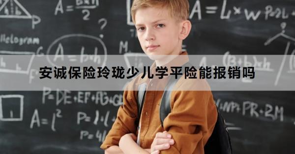安誠(chéng)保險(xiǎn)玲瓏少兒學(xué)平險(xiǎn)能報(bào)銷嗎？報(bào)銷流程是什么？