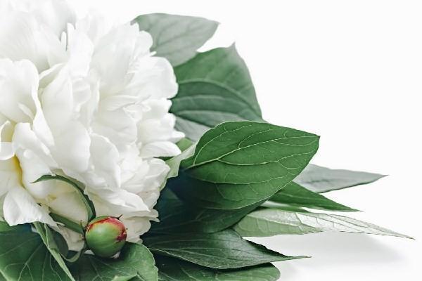 新生兒商業(yè)保險(xiǎn)怎么買合適