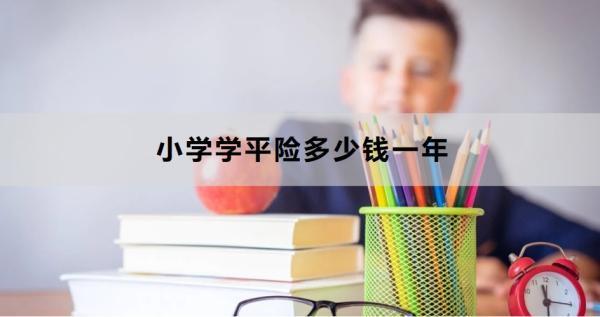 小學(xué)學(xué)平險(xiǎn)多少錢一年？怎么買？