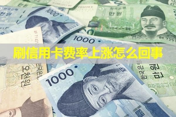 刷信用卡費(fèi)率上漲怎么回事？這些原因?qū)е?/>
                                            </div>
                                        </a>
                                        <div   id=