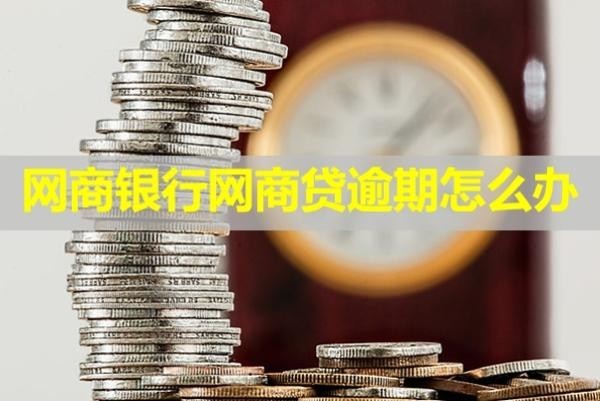 網(wǎng)商銀行網(wǎng)商貸逾期怎么辦？試試這幾種方式