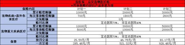 2024年最新熱門寵物保險推薦，怎么買？