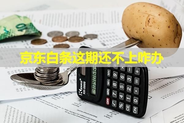 京東白條這期還不上咋辦？詳細(xì)內(nèi)容