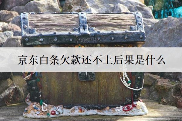 京東白條欠款還不上后果是什么？還不上怎么辦？