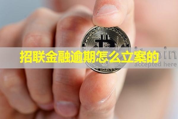 招聯(lián)金融逾期怎么立案的？看完就知道