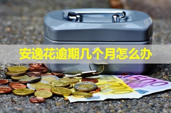 安逸花逾期幾個月怎么辦