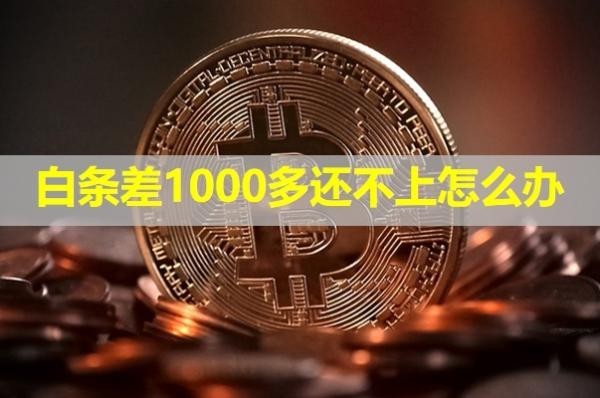 白條差1000多還不上怎么辦？詳細(xì)說明