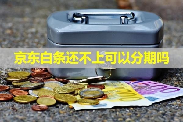 京東白條還不上可以分期嗎？大膽試試