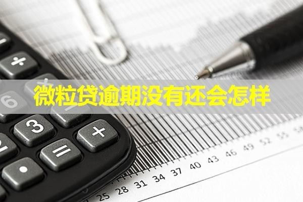 微粒貸逾期沒(méi)有還會(huì)怎樣？此文必看