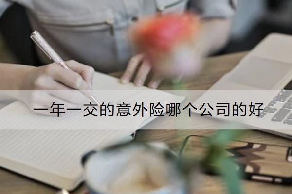 一年一交的意外險(xiǎn)哪個(gè)公司的好？有必要買嗎？