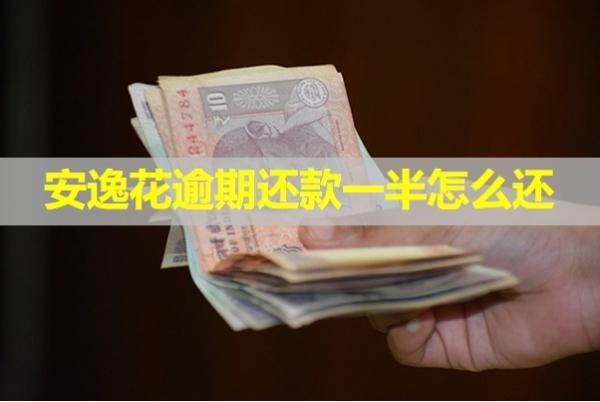 安逸花逾期還款一半怎么還