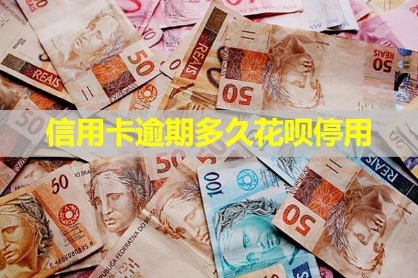 信用卡逾期多久花唄停用？揭秘