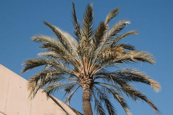 新華的多倍保值得買嗎？怎么買?。?/>
                                            </div>
                                        </a>
                                        <div   id=