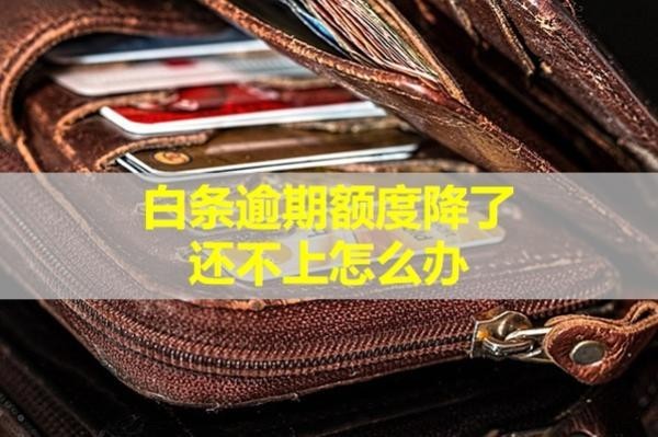 白條逾期額度降了還不上怎么辦？詳細(xì)說明