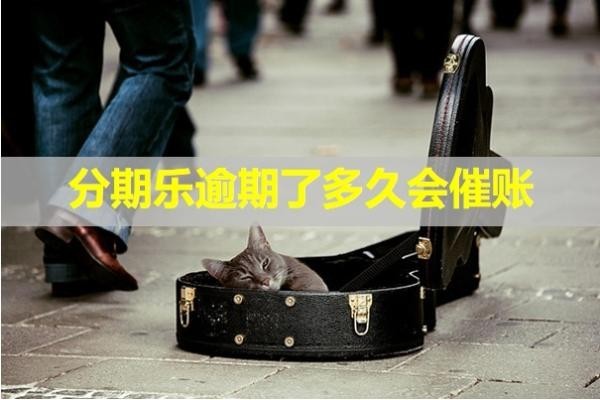 分期樂逾期了多久會催賬？詳細說明