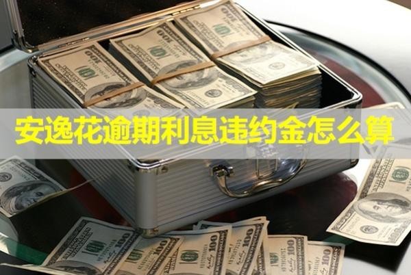 安逸花逾期利息違約金怎么算？看完就懂