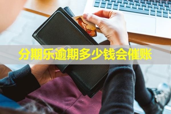 分期樂(lè)逾期多少錢會(huì)催賬