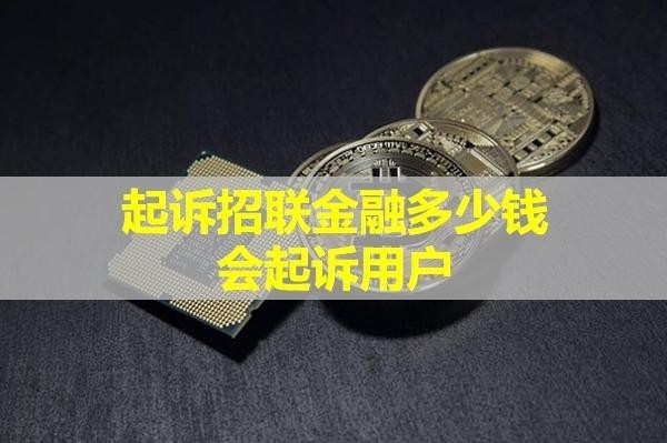 起訴招聯(lián)金融多少錢會(huì)起訴用戶？別超過這個(gè)金額