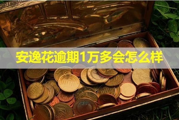 安逸花逾期1萬(wàn)多會(huì)怎么樣